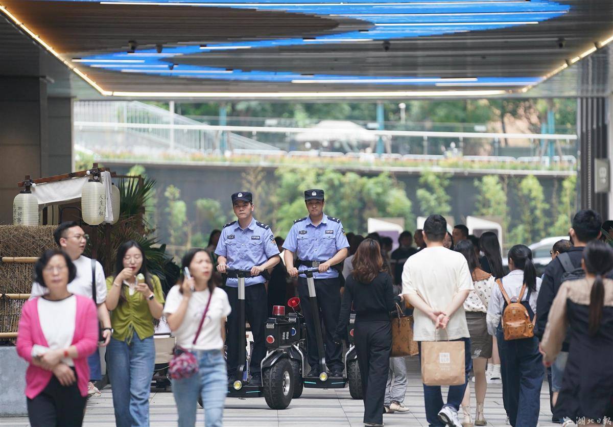 查澳门天天彩全年资料